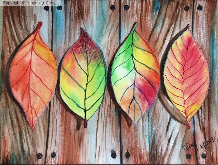 Fall Leaves 