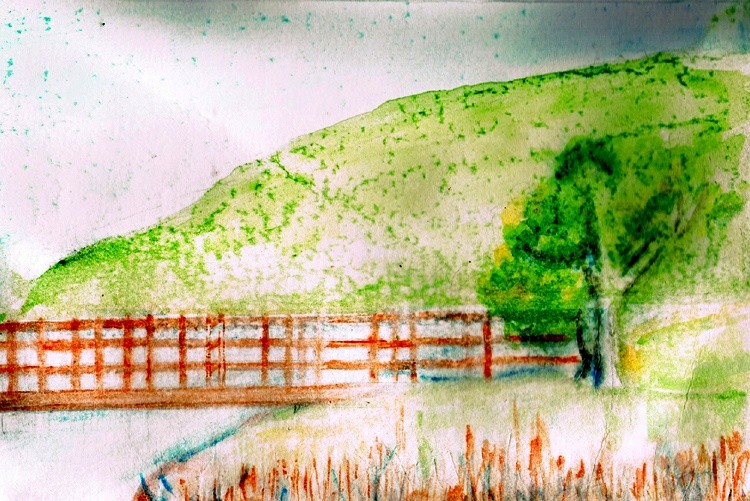 The Cove Watercolor
