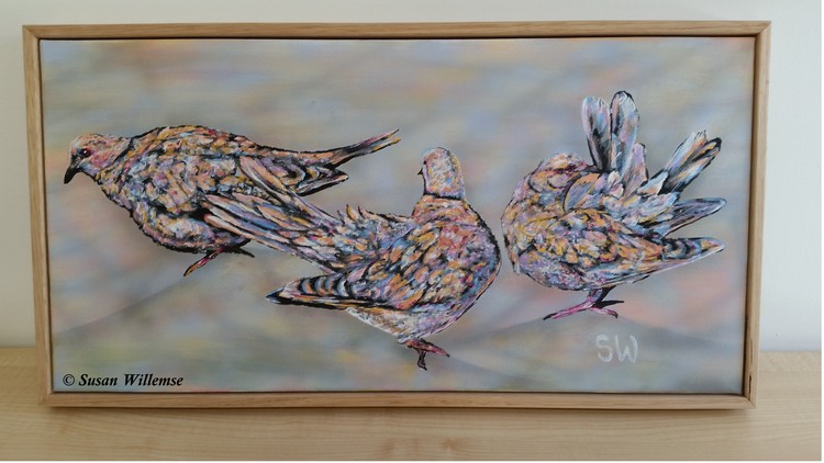  Doves 