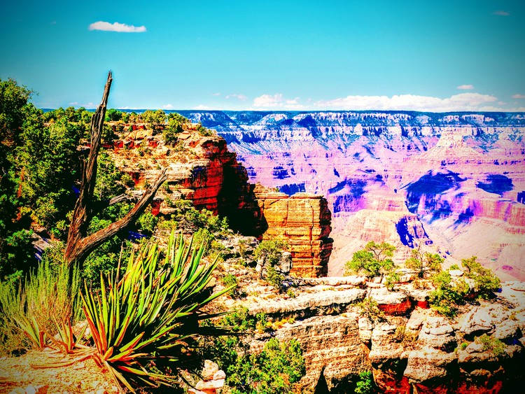 Grand Canyon