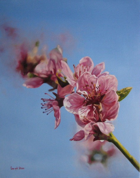 Spring