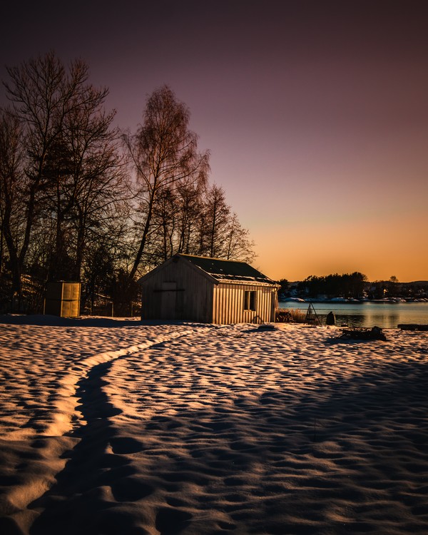 Cabin in the woods