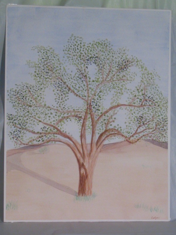 The Oak