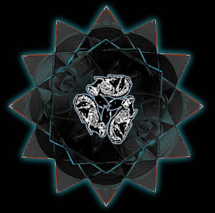 20200402 113546