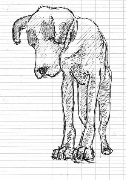 Big Big Dog