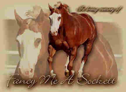 Paint horse