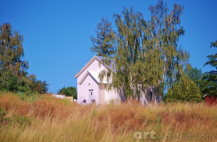 Amber way's of Grain