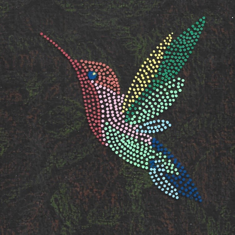 Colorful Hummingbird