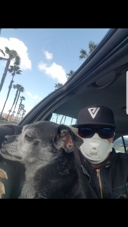 Mugs cruising Chula Vista during covid