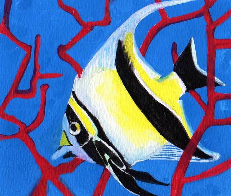 moorish idol