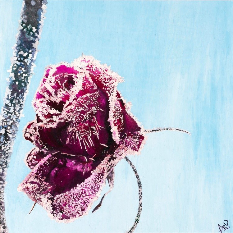 Winter Rose