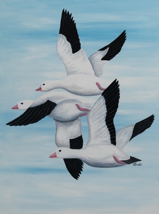 Snow Geese
