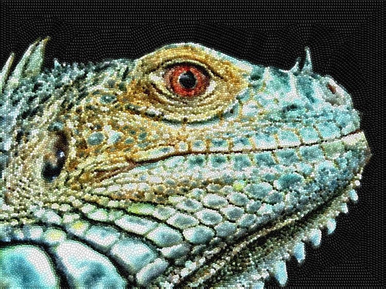 Corncobbed Iguana
