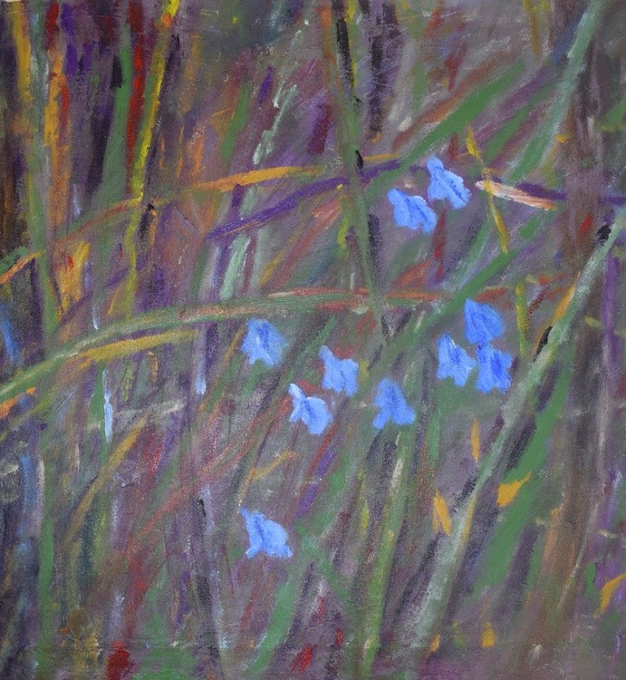Bluebells