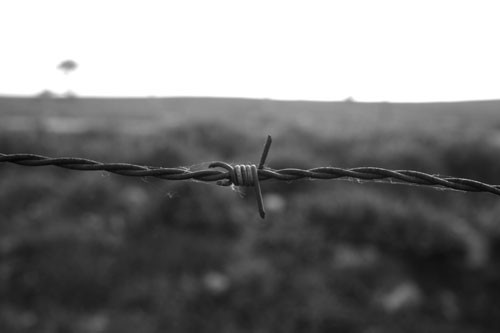 behind the line
