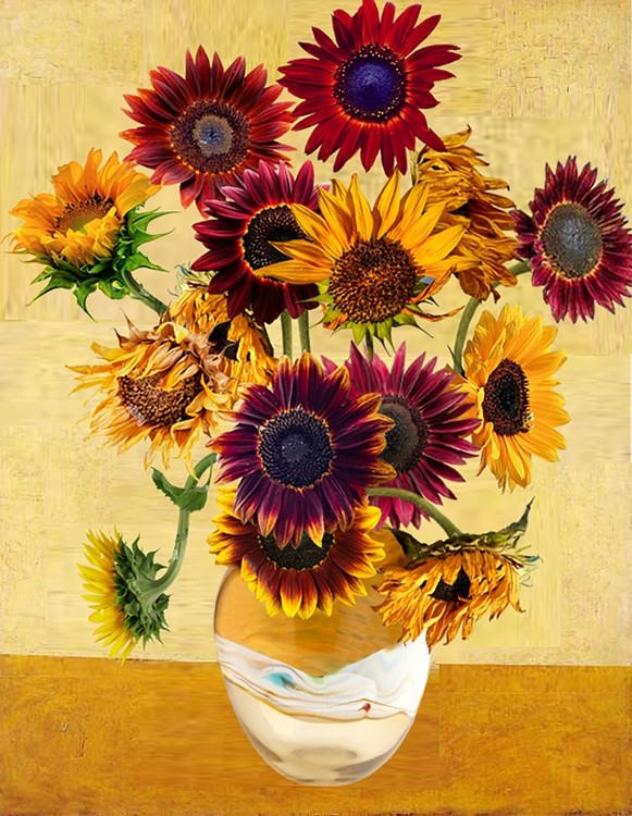 SUNFLOWERS