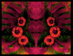 MIX MEDIA-FINE ART