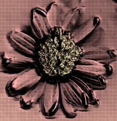 Just another flower