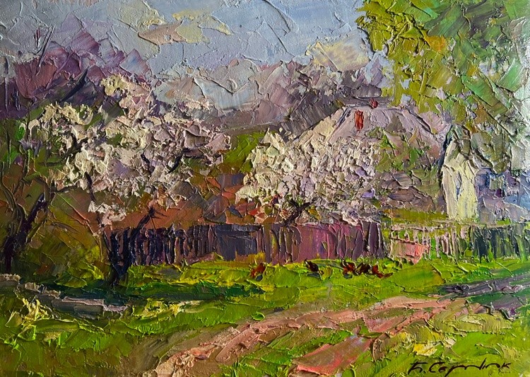 Cherry blossoms