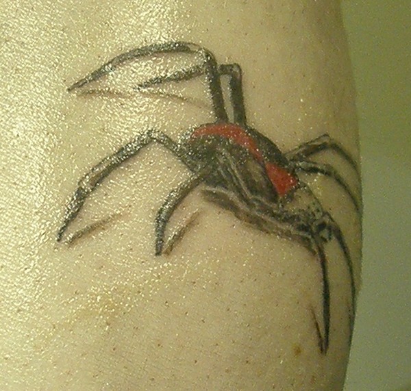 Spider Tattoo