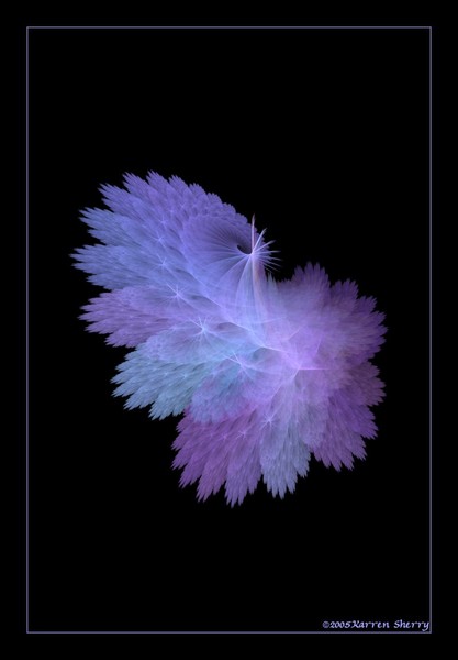 Make a Wish