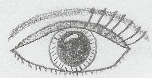 Eye