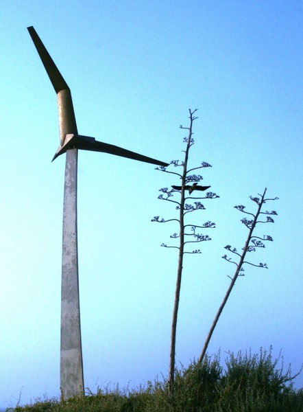 ISRAEL REMEMBERS ITS FALLEN 
