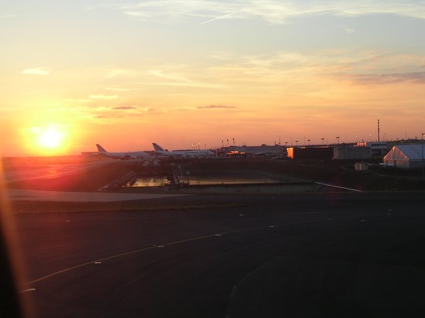 Flying away in the horizon