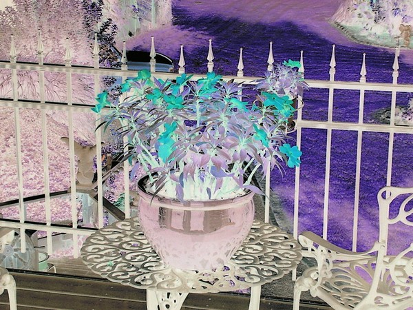 The Balcony