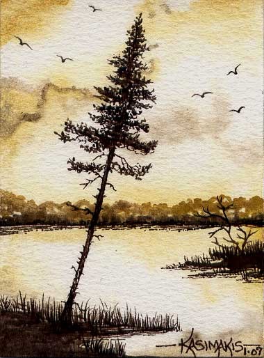 Lonely Pine