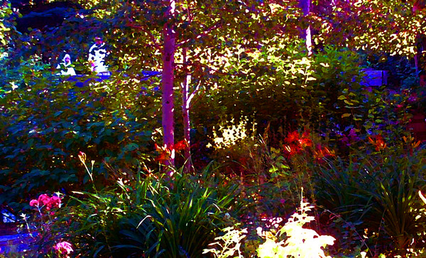 Garden Scene