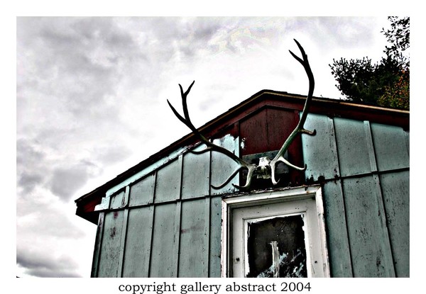 Horned Hut