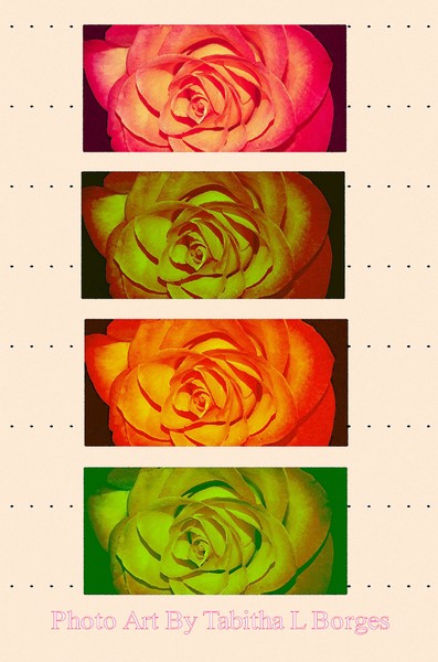 Ta ROSA