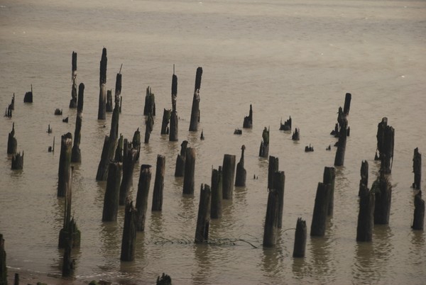 Stumped Water