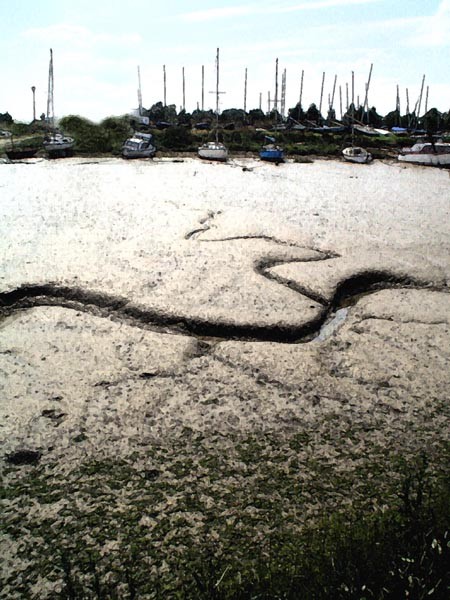 Tides out.