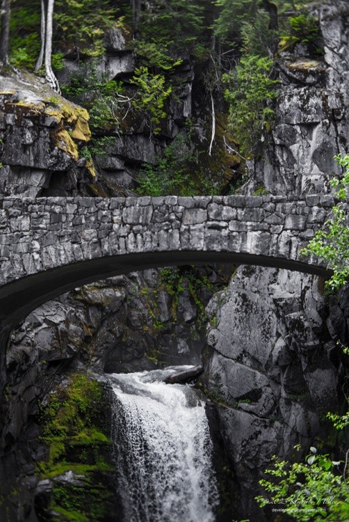 Christine Falls P7486