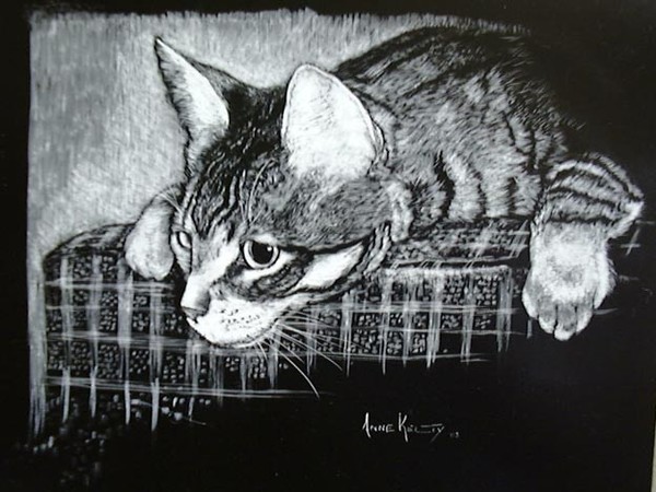 Curiosity