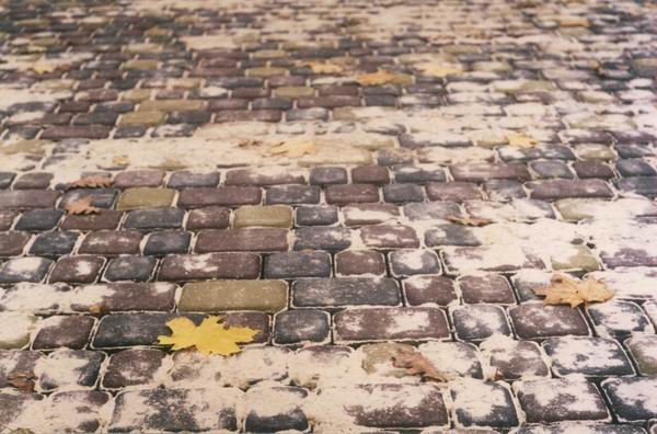 pavement
