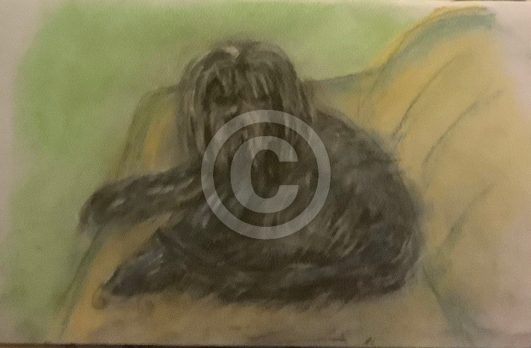 Study of my black hairy dog  soft pastels