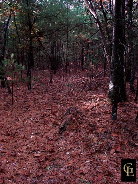 Walden Pond