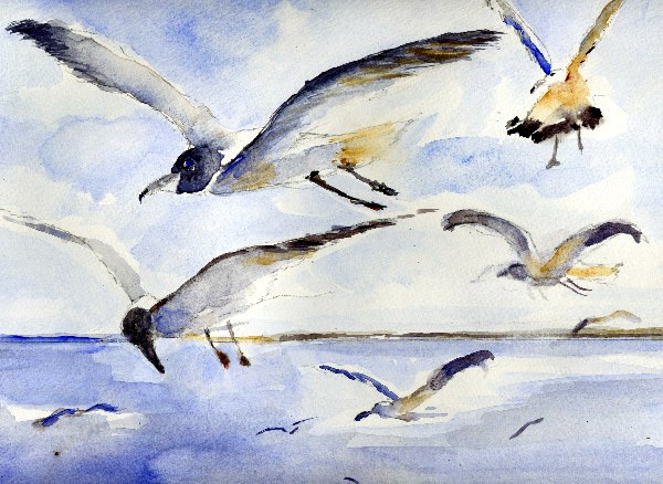 GULLS IN FLIGHT