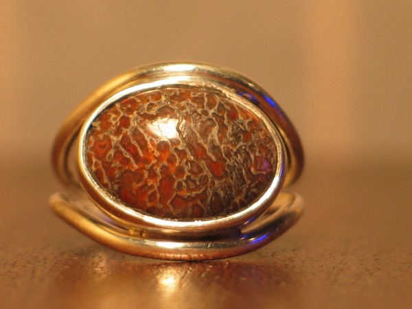Sterling Silver & Petrified Dinosaurs Bone Ring