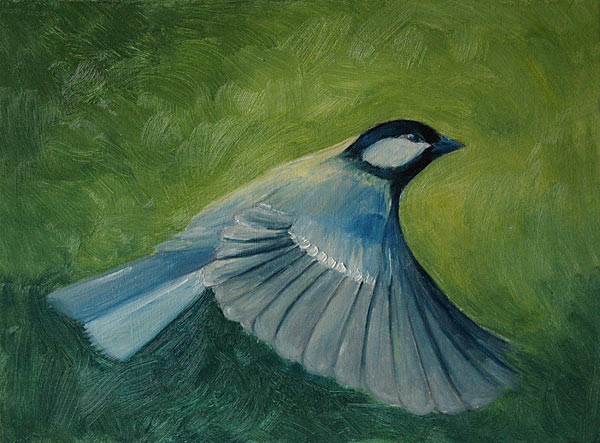 Great Tit