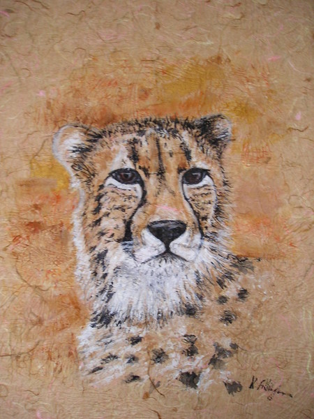 Cheetah
