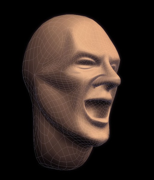 Head