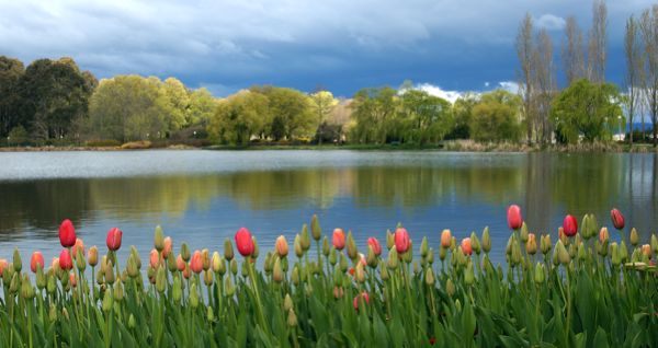 Floriade