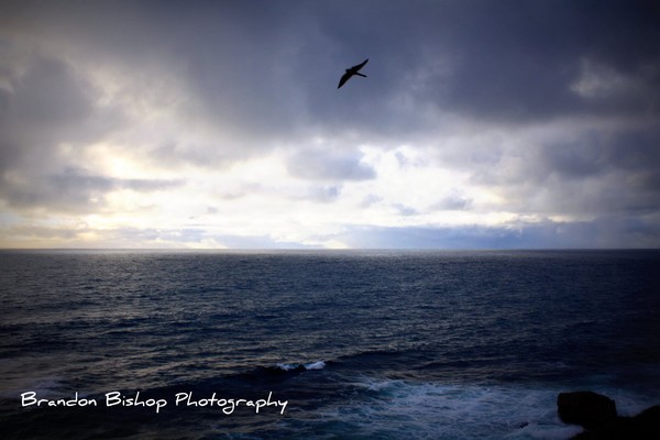 Soaring High