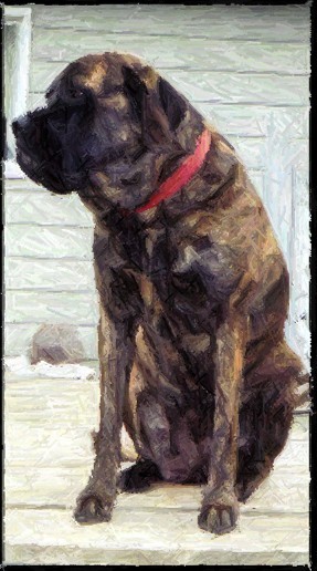 Abbie