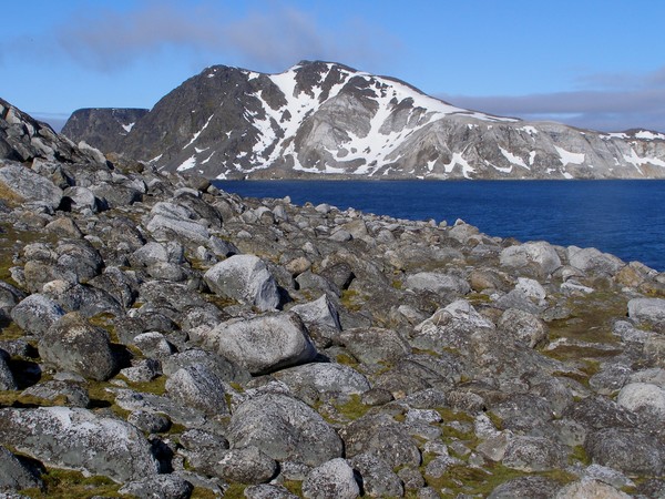 Terrain