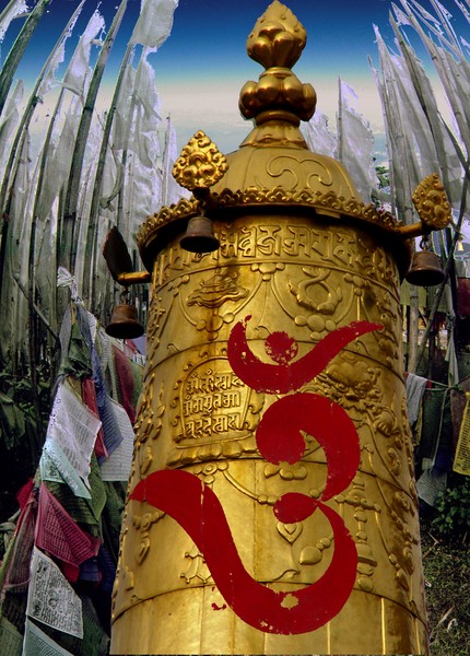 Sikkim  Collage